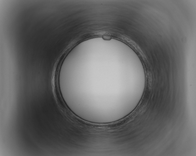 X0000102400482200808010958
