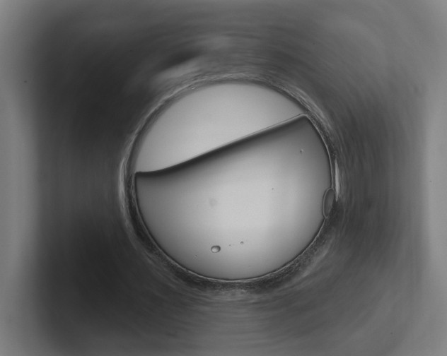 X0000102400483200808010958
