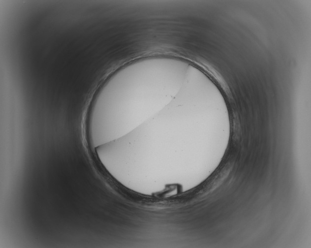 X0000102400485200808010958