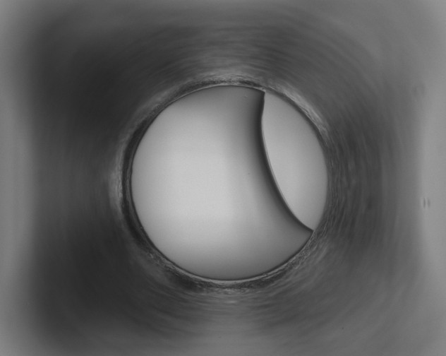 X0000102400486200808010958