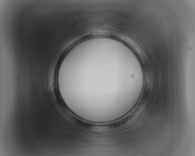 X0000102400487200808010958