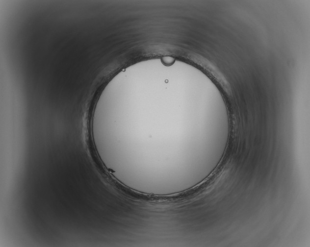 X0000102400489200808010958