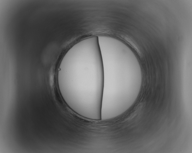 X0000102400491200808010958