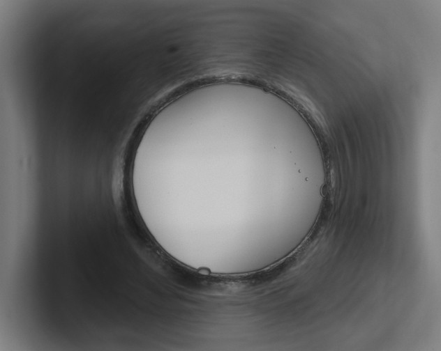 X0000102400492200808010958