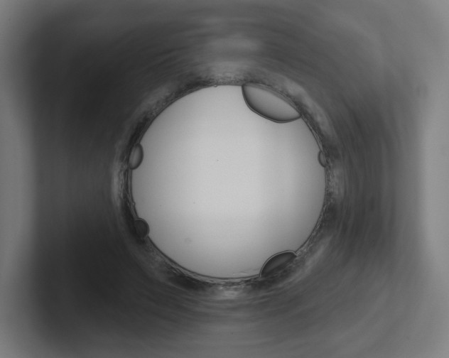 X0000102400495200808010958