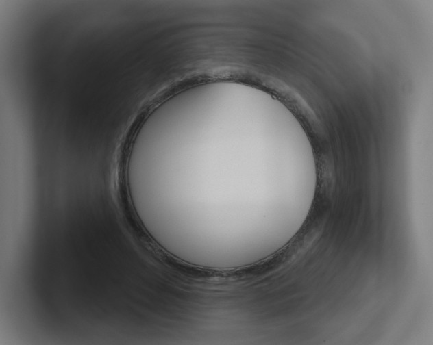 X0000102400496200808010958
