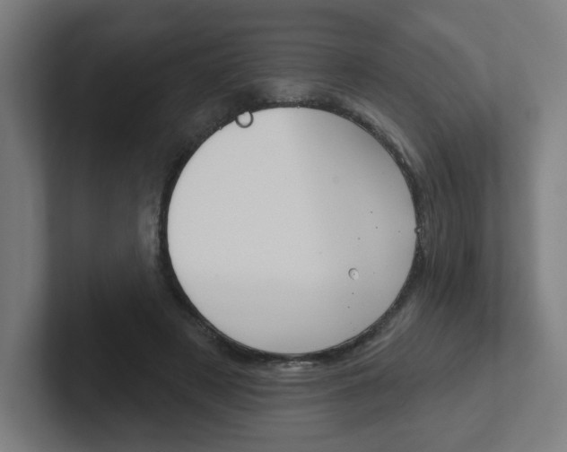 X0000102400497200808010958