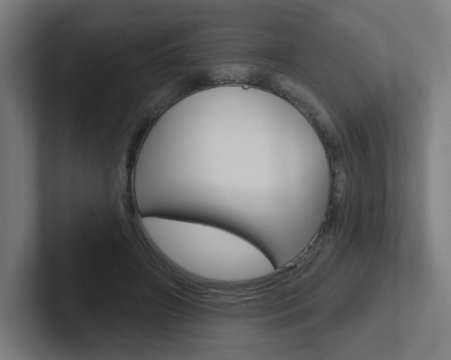 X0000102400498200808010958
