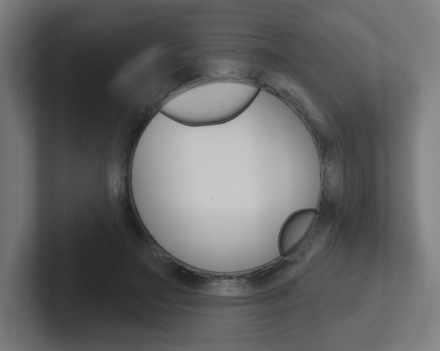 X0000102400499200808010958