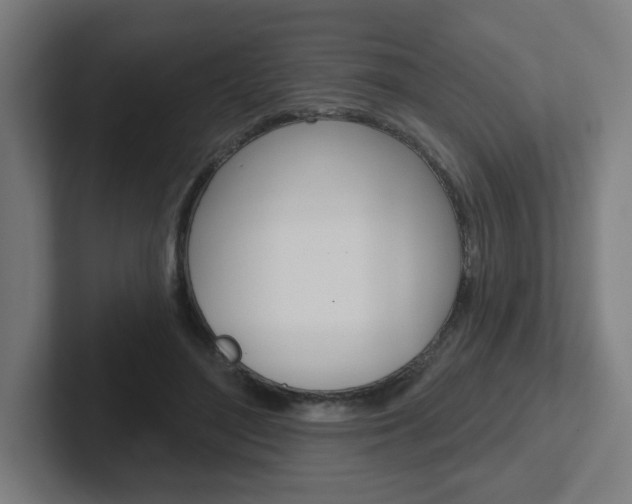 X0000102400500200808010958