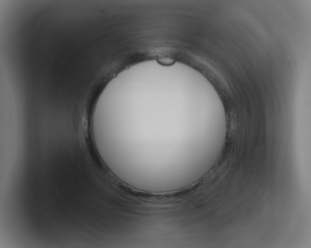 X0000102400502200808010958