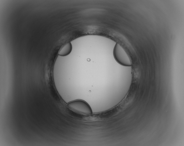 X0000102400503200808010958