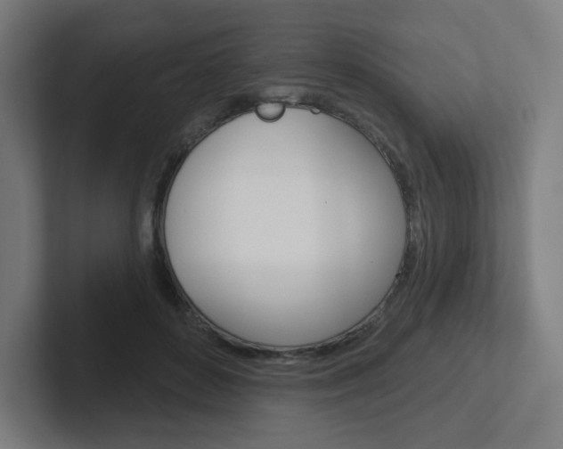 X0000102400504200808010958