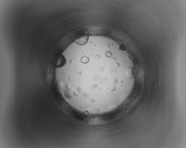 X0000102400507200808010958