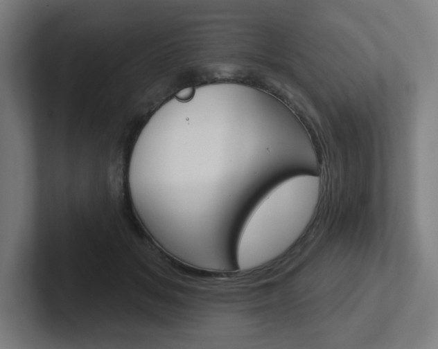 X0000102400509200808010958