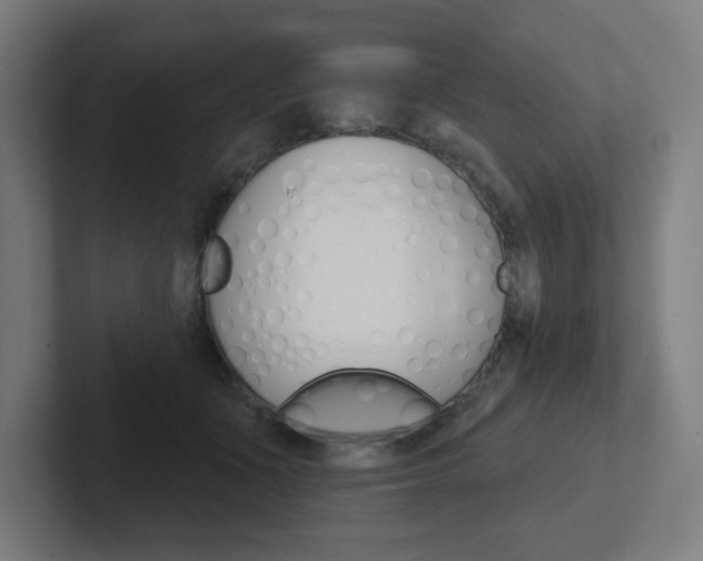 X0000102400511200808010958