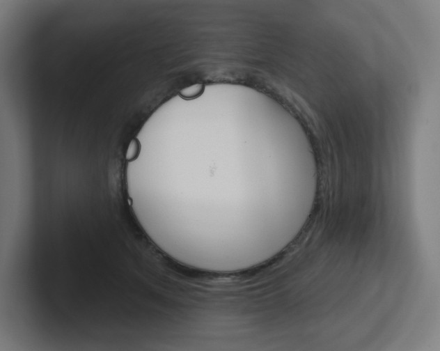 X0000102400513200808010958