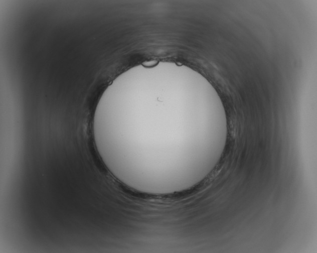 X0000102400515200808010958