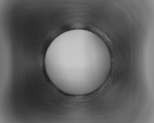 X0000102400517200808010958