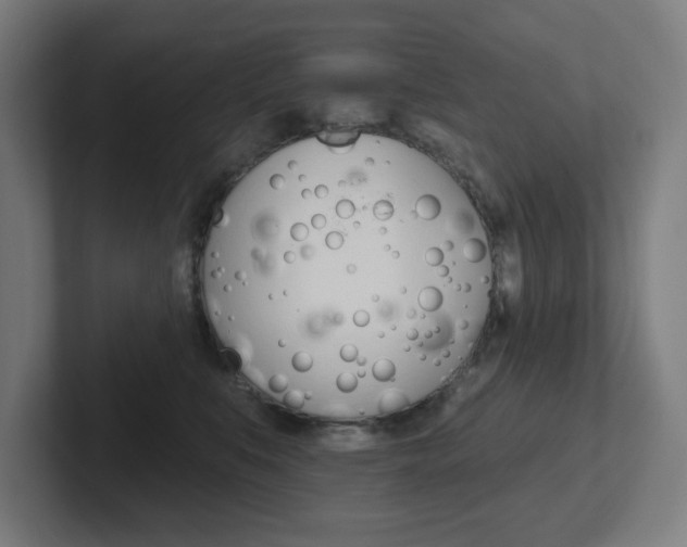 X0000102400519200808010958