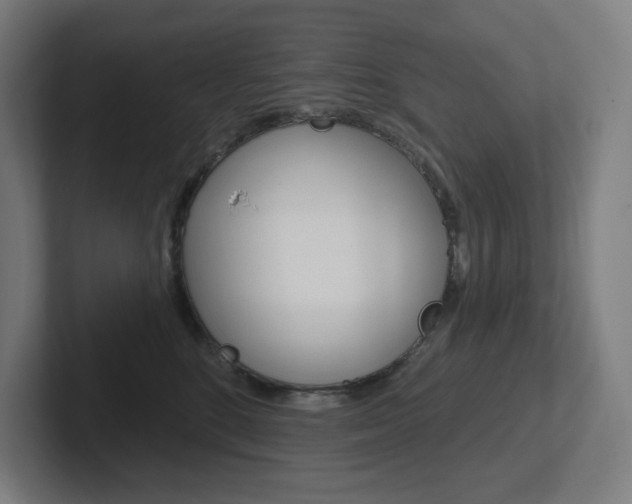 X0000102400520200808010958