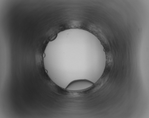 X0000102400523200808010957