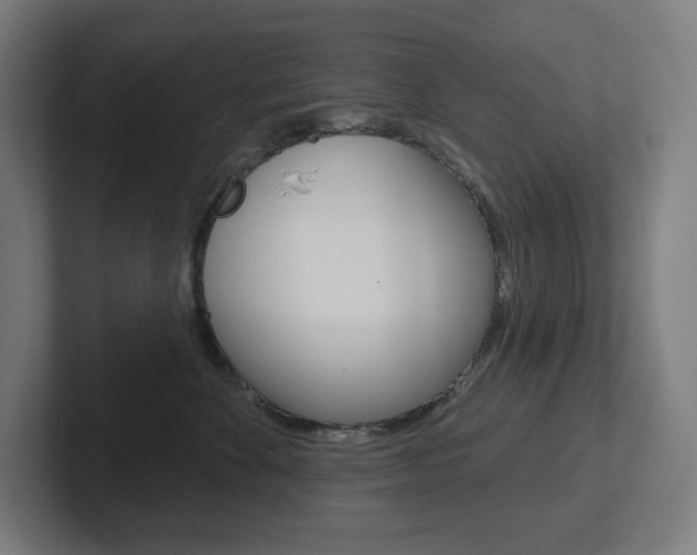 X0000102400524200808010957
