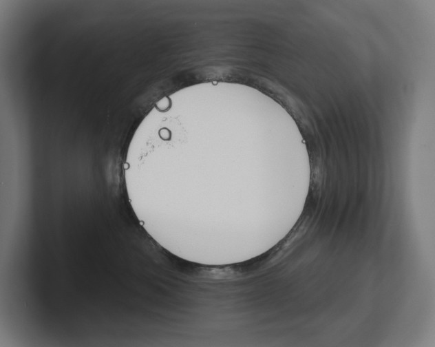 X0000102400525200808010957
