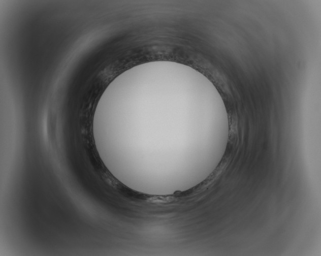 X0000102400526200808010957