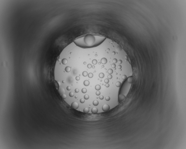 X0000102400527200808010957