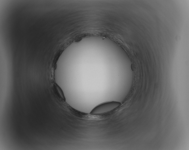 X0000102400528200808010957