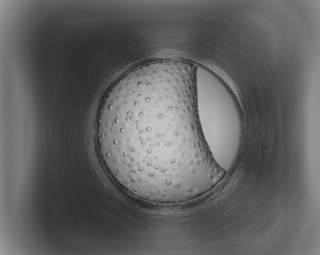 X0000102400529200808010957