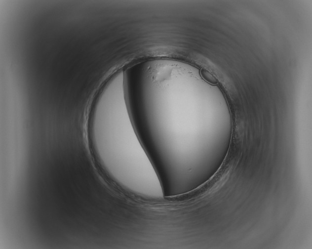X0000102400530200808010957