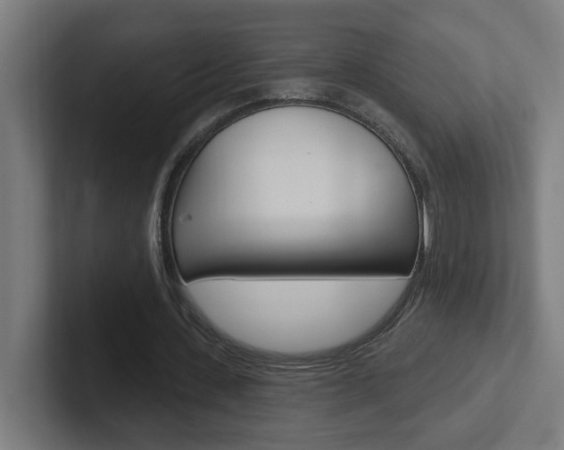 X0000102400531200808010957
