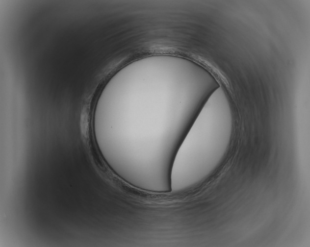 X0000102400533200808010957