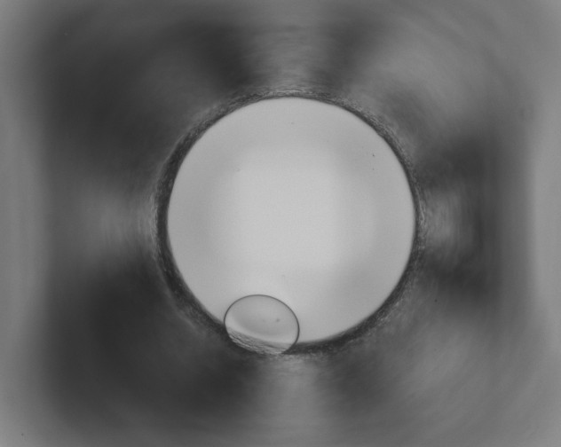 X0000102400534200808010957