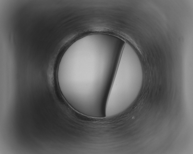 X0000102400535200808010957