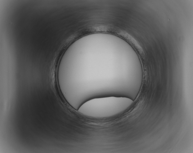 X0000102400537200808010957
