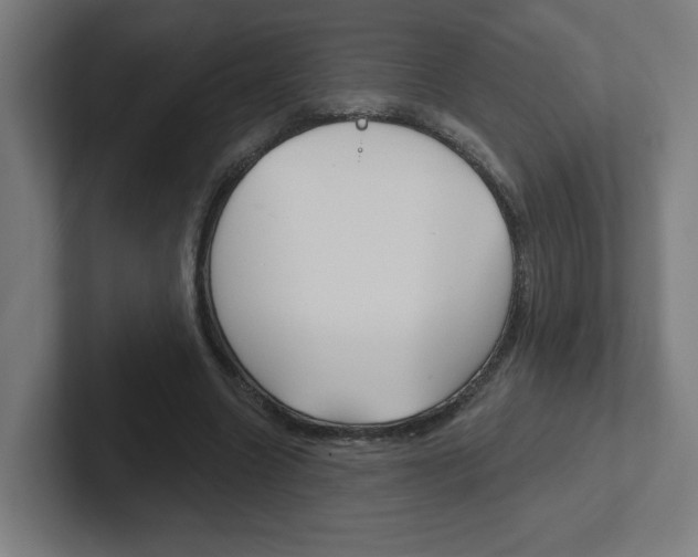 X0000102400538200808010957