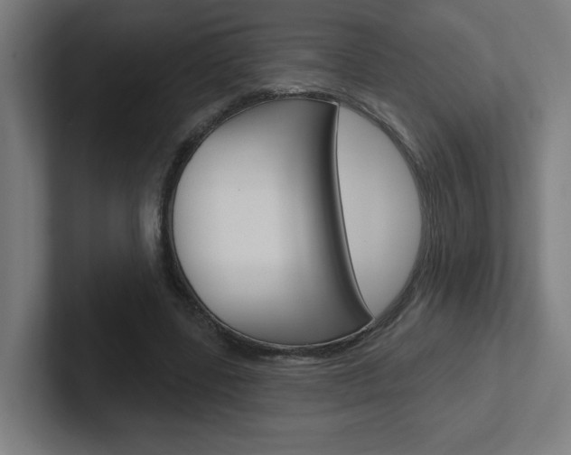 X0000102400539200808010957