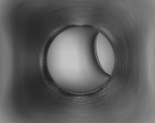 X0000102400540200808010957