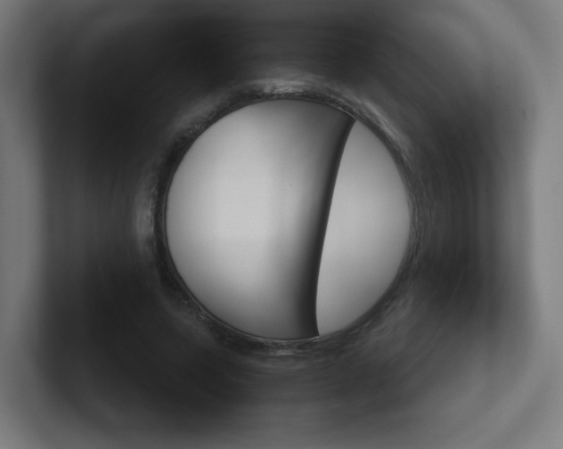 X0000102400543200808010957