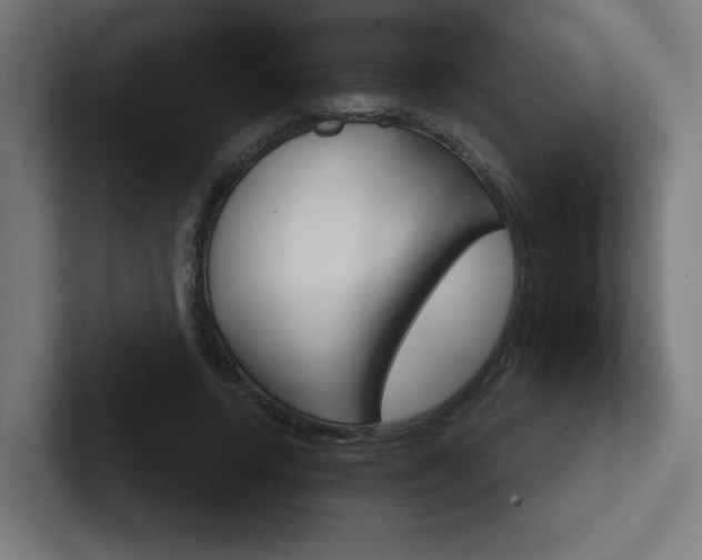 X0000102400544200808010957