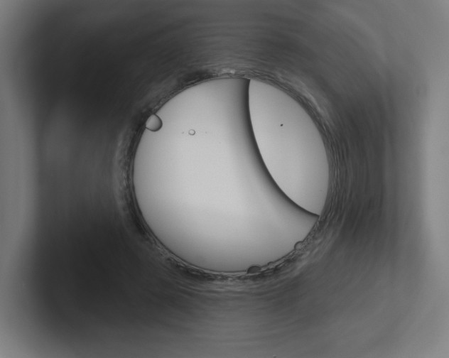 X0000102400545200808010957