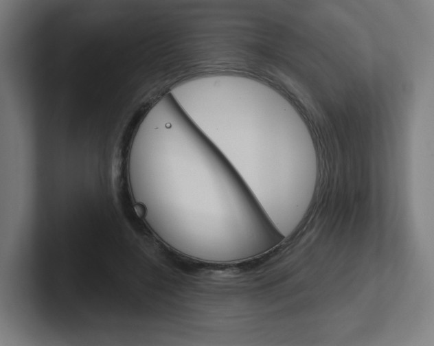 X0000102400548200808010957