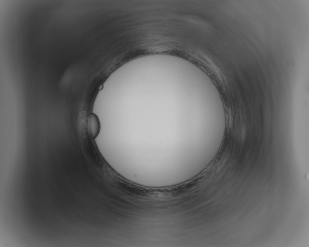 X0000102400549200808010957