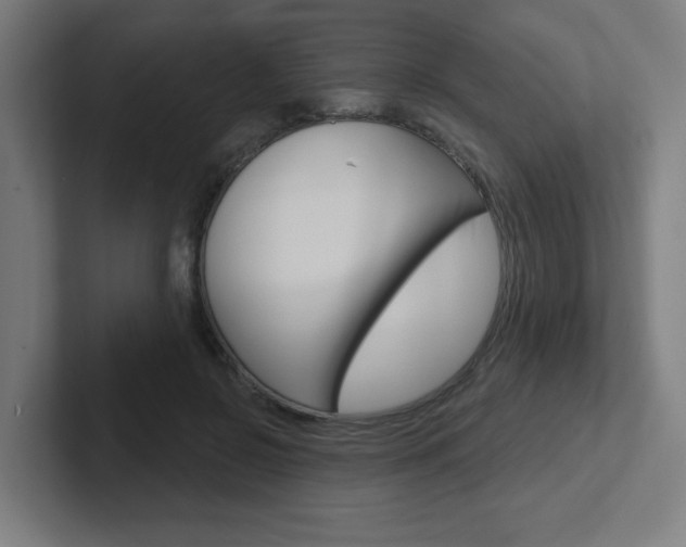 X0000102400550200808010957