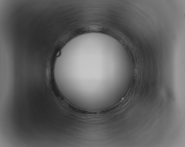 X0000102400552200808010957