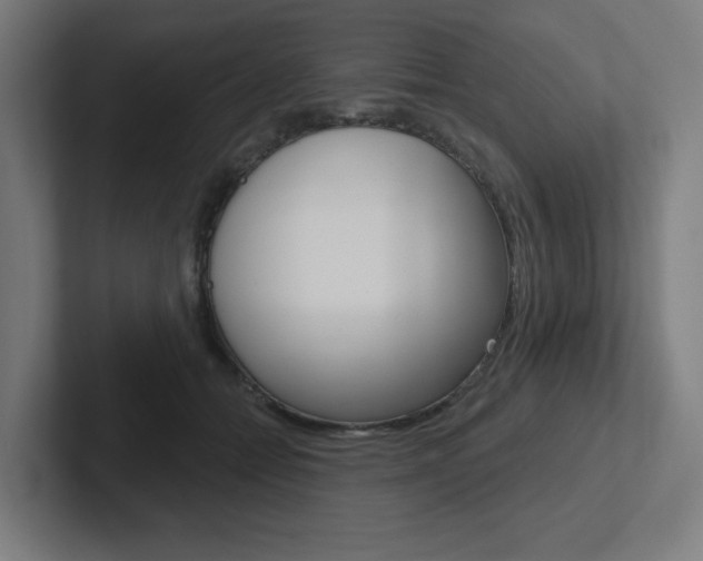 X0000102400558200808010957