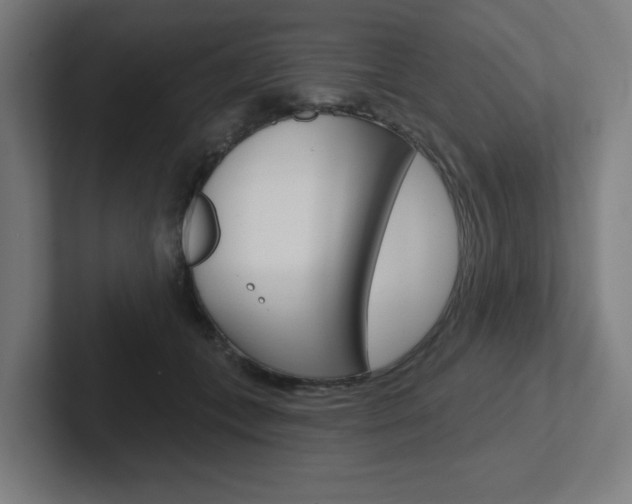 X0000102400559200808010957
